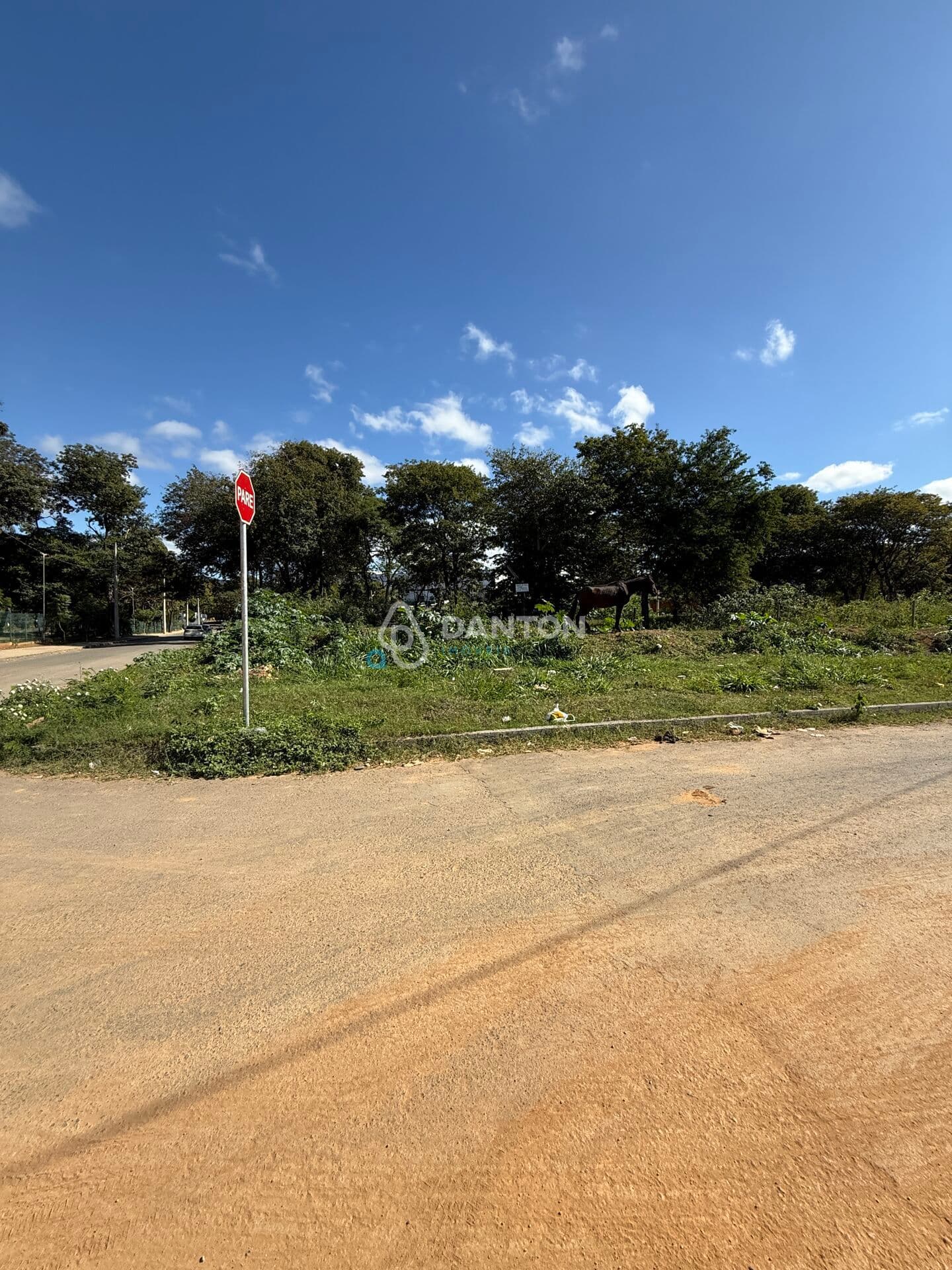 Lote A Venda no Bairro Canelas