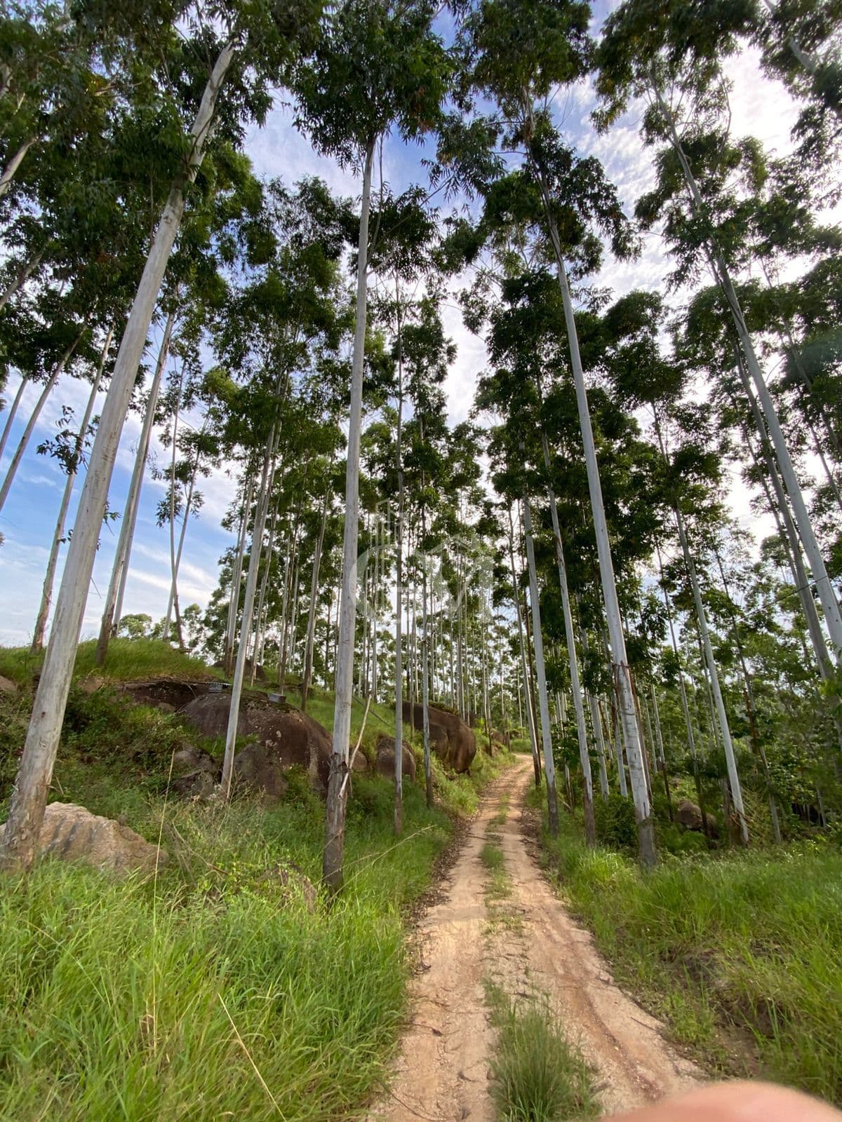 Terreno em Linha Mesquita, Treze de Maio/SC