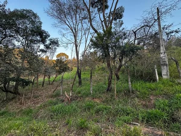 Terreno Lote Saint James II Campo Limpo Paulista/SP