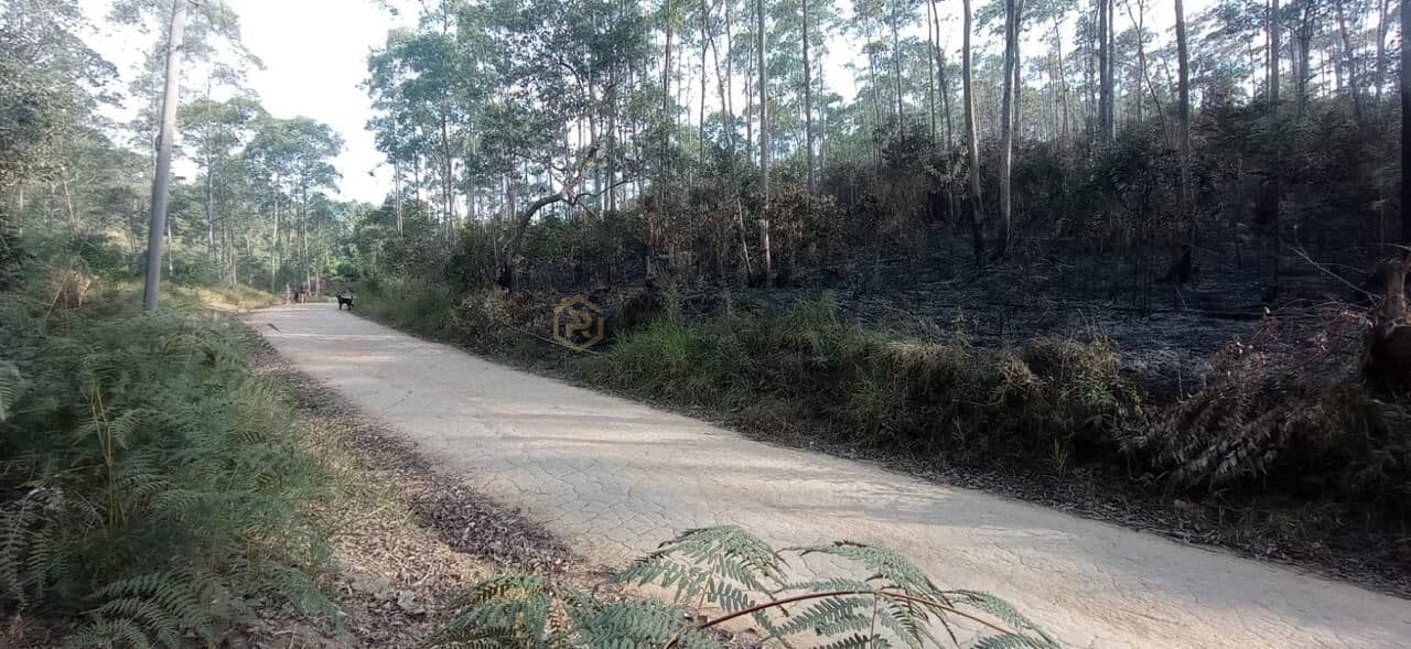 Sitio 11 alqueires Terra Preta (Mairipora/Analisa Permuta Imóveis e Veículos
