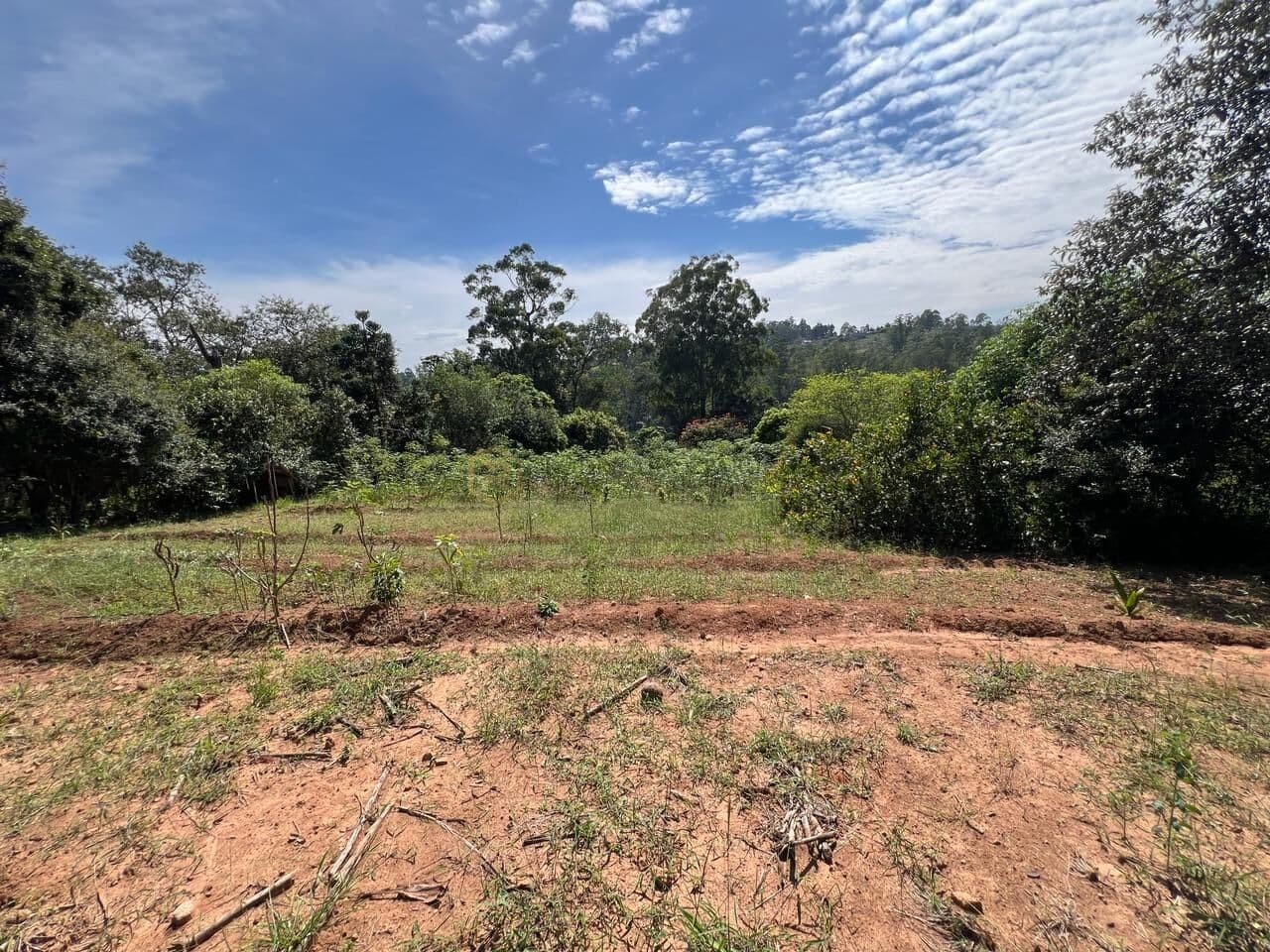 Terreno Lote Figueira Branca /Campo Limpo Paulista