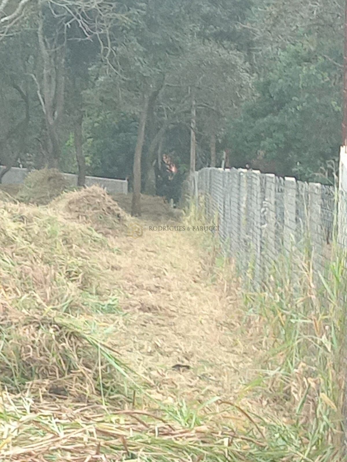 Terreno Lote Bairro Figueira Branca Jarinu/SP 750,00 m2