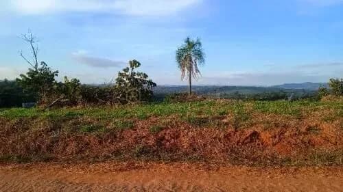 Sítio 5000 m2 Fazenda Primavera