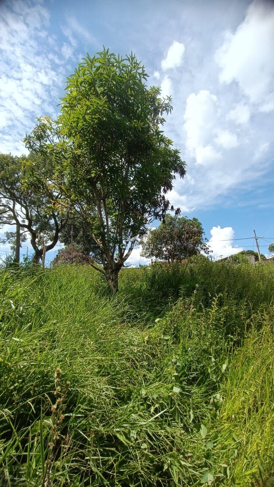 Excelente lote 360m² localizado em Juatuba MG
