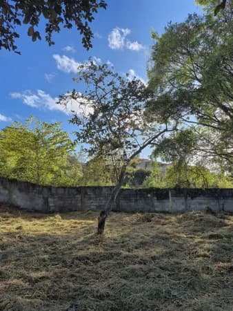 Oportunidade de Investimento no Vila das Flores – Betim, MG