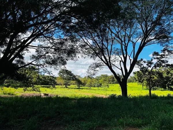 Chácara de 5.000m² Sítio Novo, perfeito para lazer ou investimento, em região valorizada e de fácil acesso!
