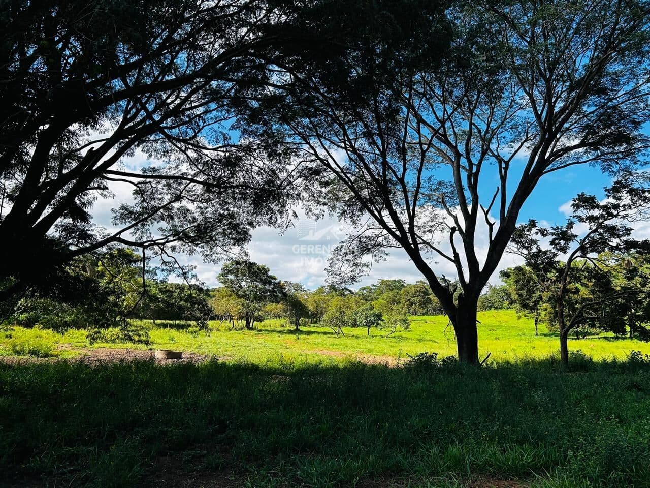 Chácara de 5.000m² Sítio Novo, perfeito para lazer ou investimento, em região valorizada e de fácil acesso!