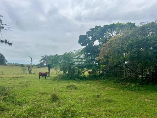 Terreno a venda em Passa Tempo MG - Terras de cultura!!!