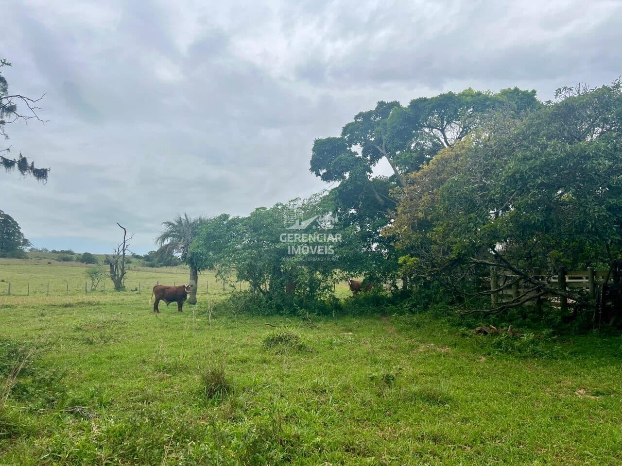 Terreno a venda em Passa Tempo MG - Terras de cultura!!!