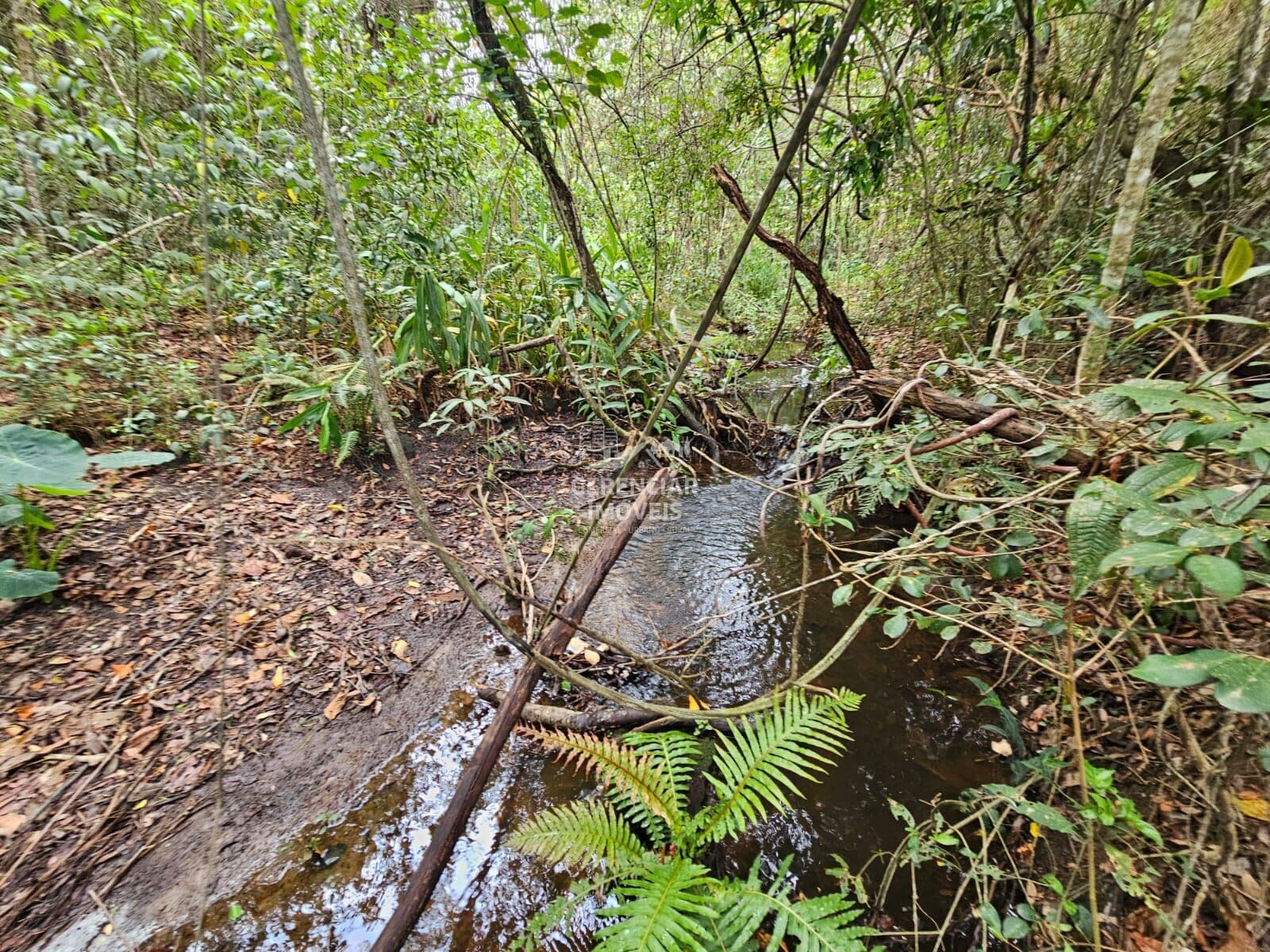 Terreno com Água corrente nos fundos em Mateus Leme MG