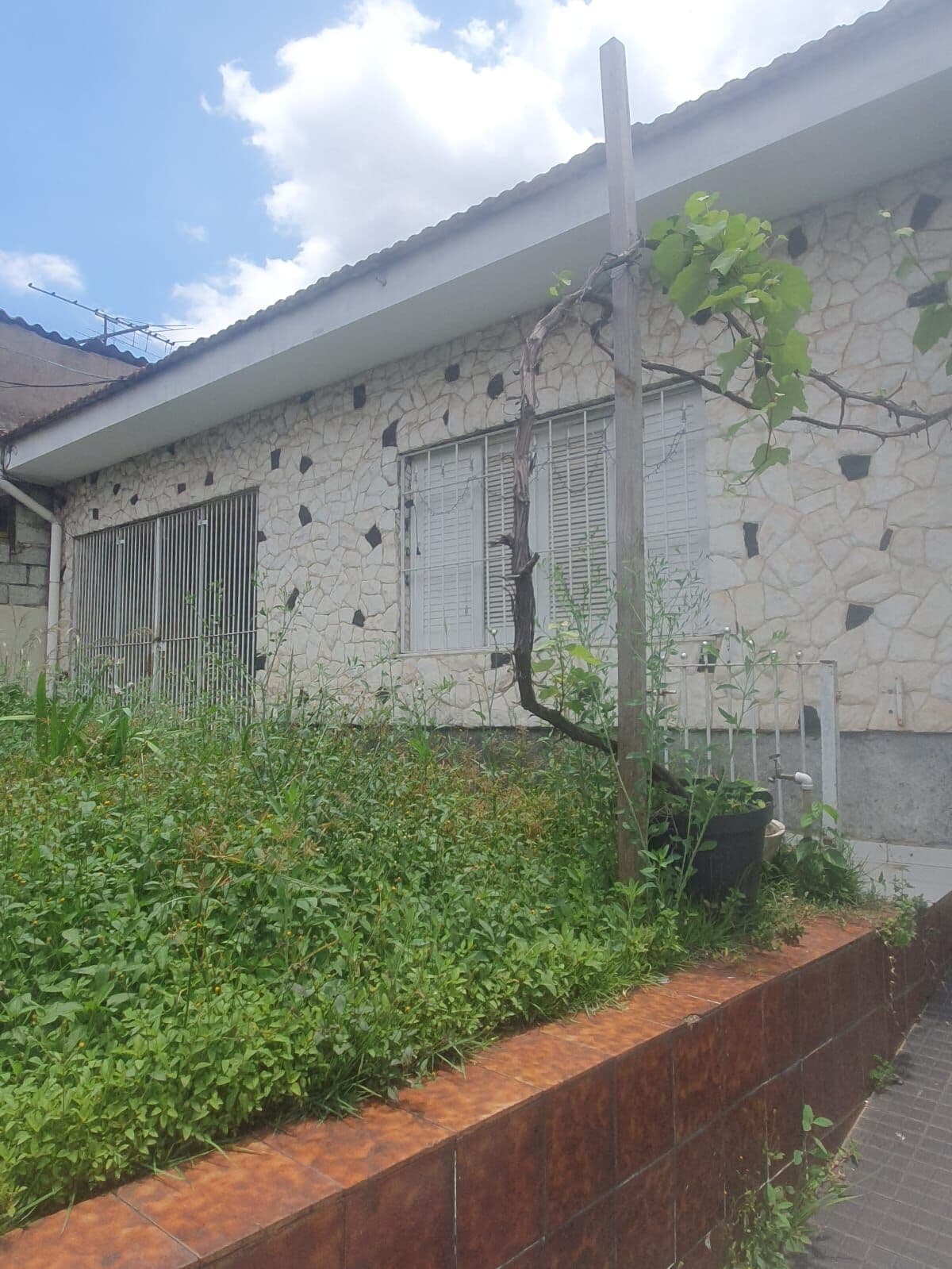 Casa Espaçosa com 3 Dormitórios e Edícula em Taboão da Serra – Oportunidade Imperdível!