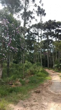 Terreno para Venda em Ressaca Cotia-SP