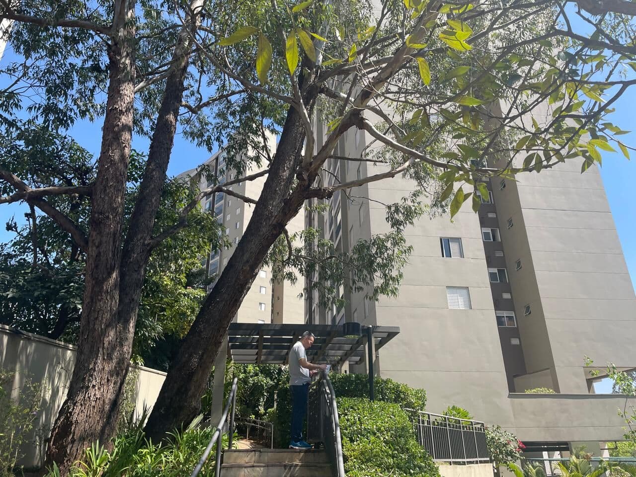 Apartamento para alugar no Parque Rebouças – 57m², 2 banheiros e 1 vaga