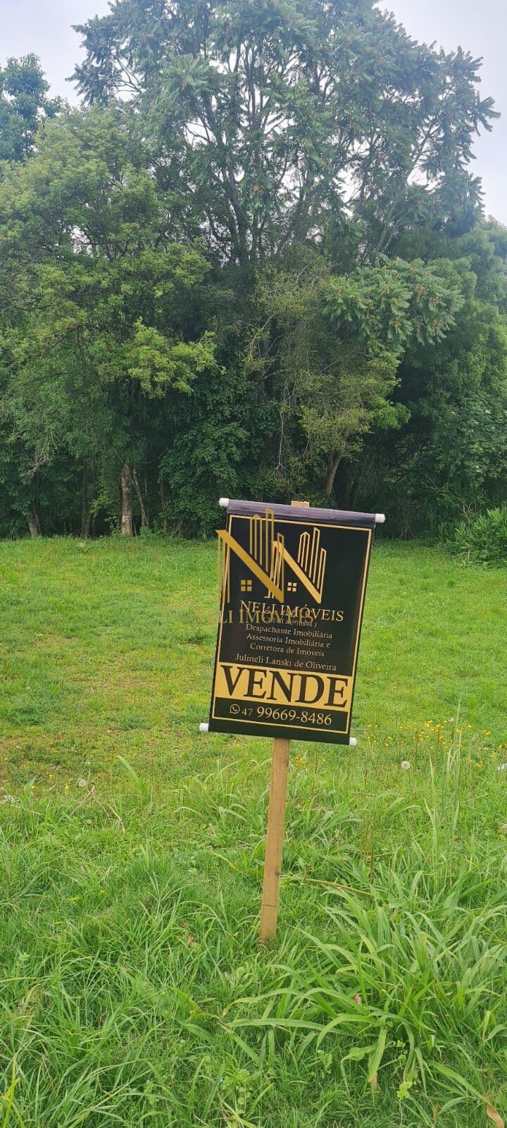 Lote/Terreno em Rio Negro - Centro