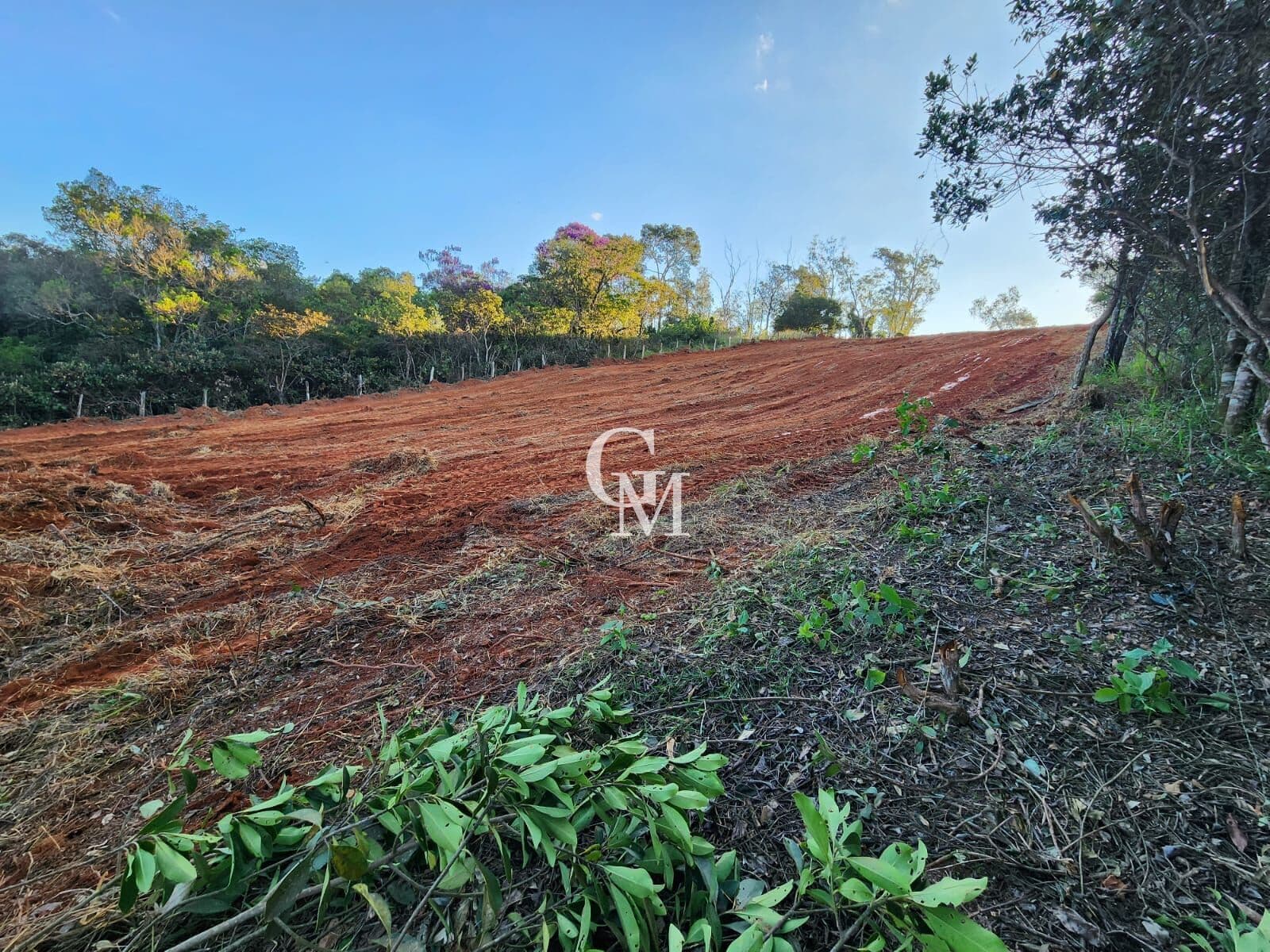 Área Industrial em Algodão, Pouso Alegre/MG