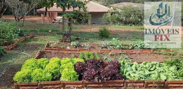 Sítio à venda no bairro Caioçara em Jarinu/SP