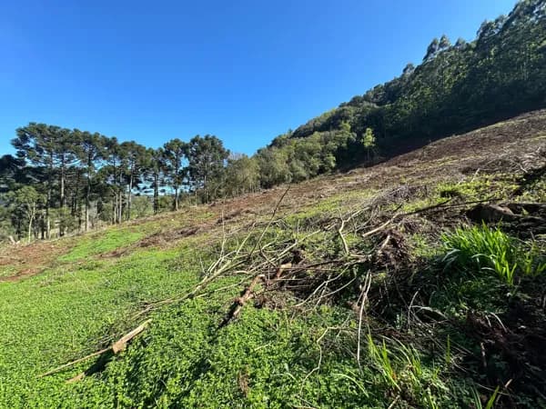 Sítio a apenas 8km do Centro de Gramado
