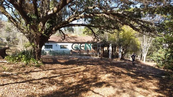 Excelente Fazenda de 136 ha por 4 milhões na região de Divinópolis MG