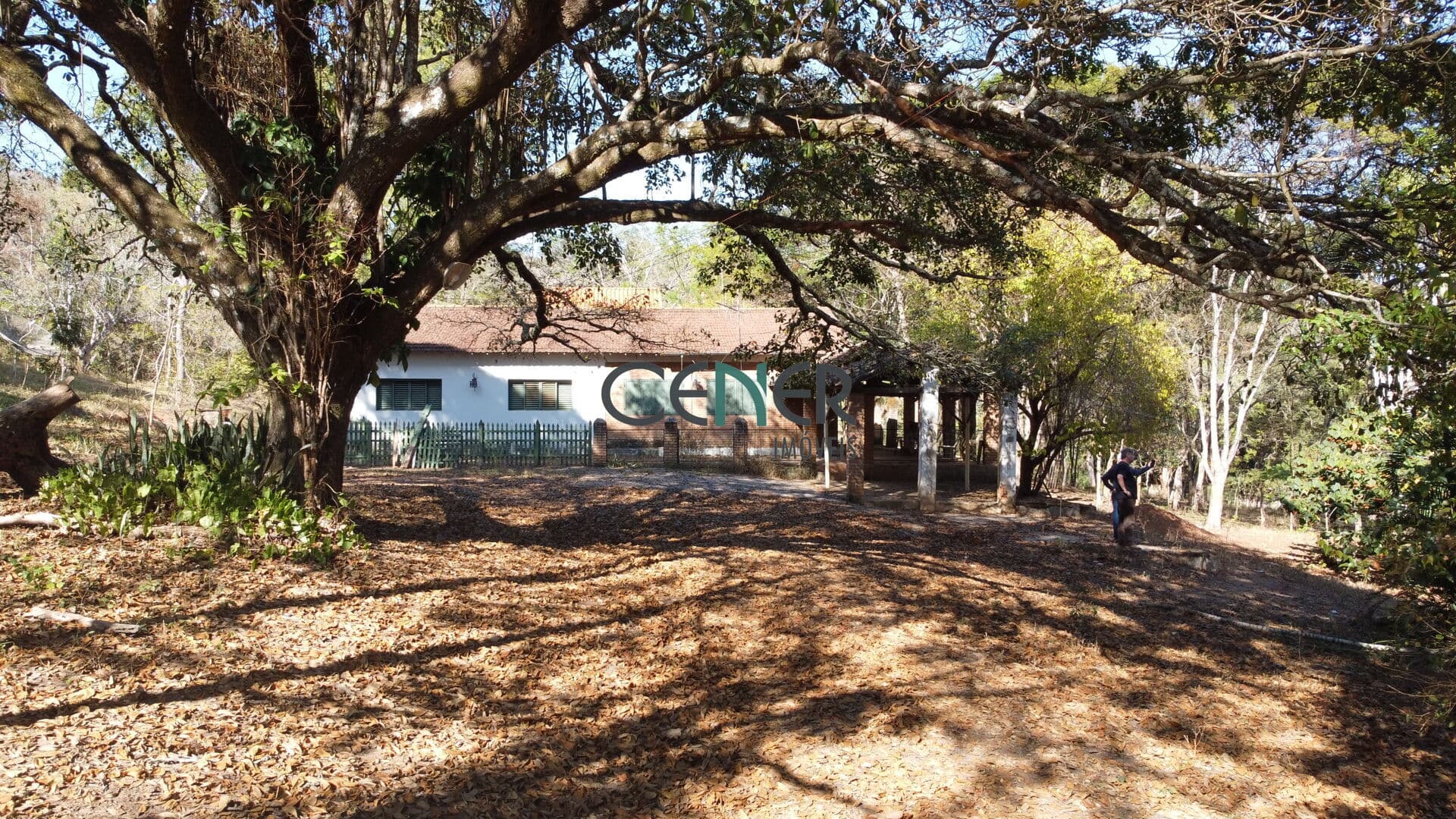 Excelente Fazenda de 136 ha por 4 milhões na região de Divinópolis MG