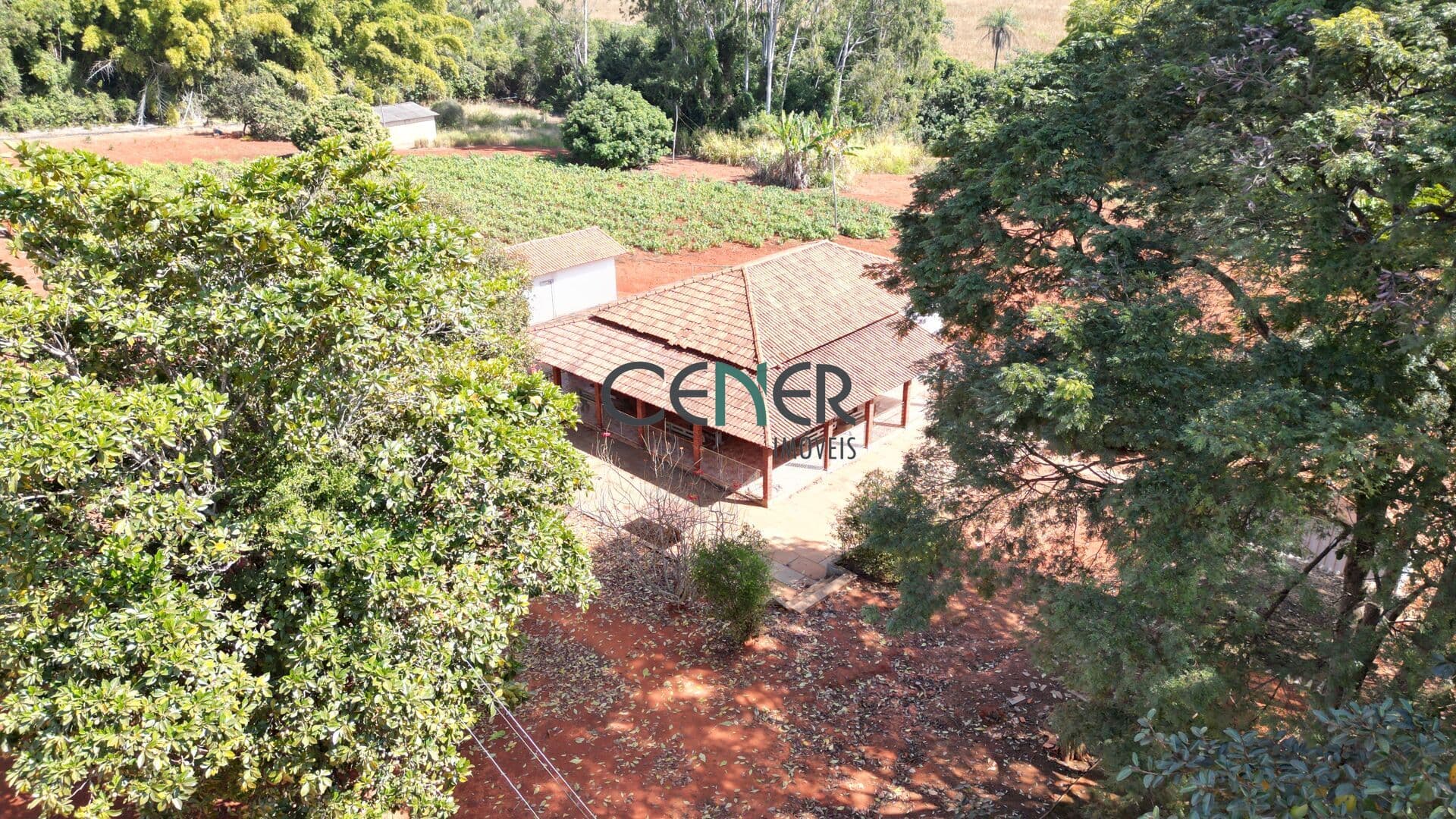 Fazenda Grota Linda com 230 ha a pouco mais de100 km de