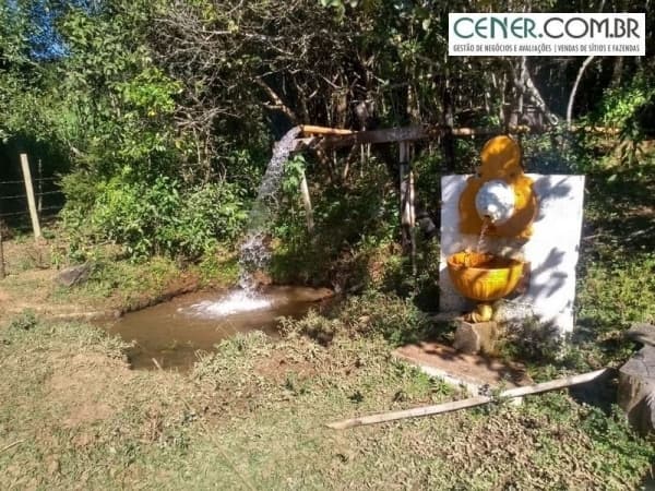 Ótima Fazendinha de 21 ha com boa estrutura e muita Água