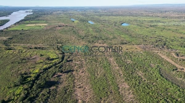 Excelente Fazenda de 4.557,74 ha com 6 Km de Margem do Rio São Francisco - Dupla aptidão