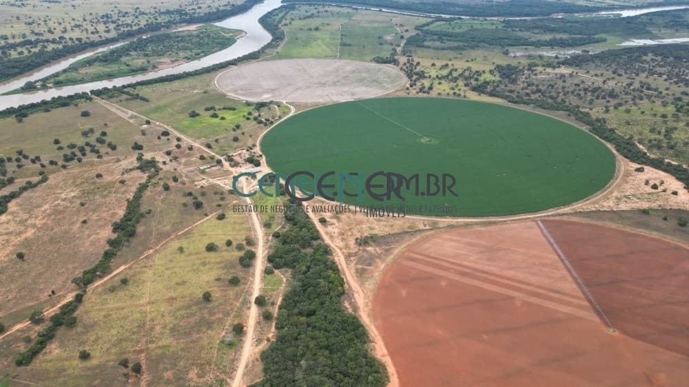 Extraordinária Fazenda Agronegócio de 2.132 ha com 9 Pivôs