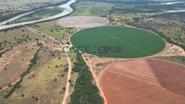 Extraordinária Fazenda Agronegócio de 2.132 ha com 9 Pivôs