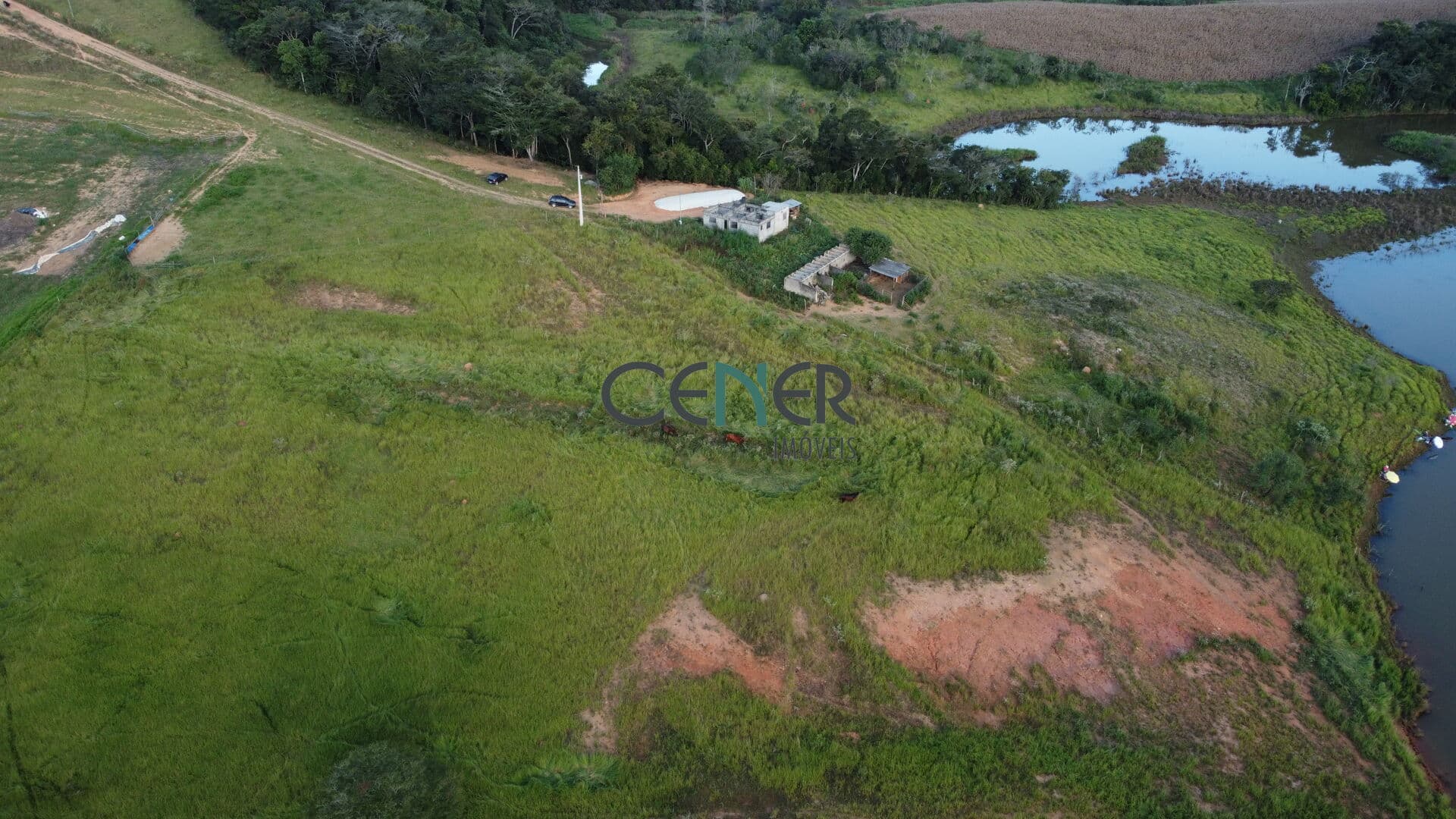 Terreno de 100 ha em Carandai a negociar