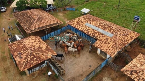 Extraordinária Fazenda de 110,8 ha Prontinha com muita Qualidade em Curvelo MG