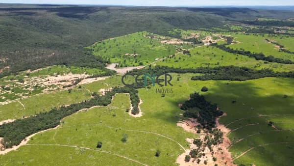 Fazenda de 1176 ha com pivô nas margens do São Francisco por 35 milhões