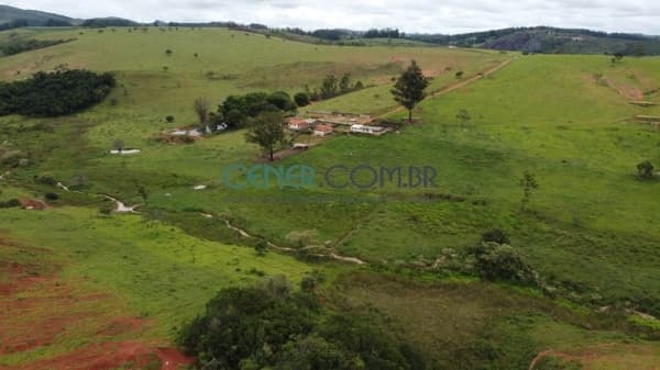 Excelente Fazenda de 315 ha na Região de Carmópolis de Minas - Dupla aptidão