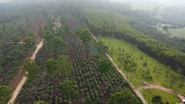 Ótimo terreno de 30 ha para sitio, lavouras, industria ótima logistica