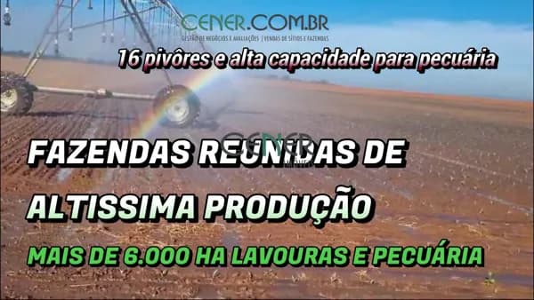 Fazendas reunidas alta produção com mais de 6 000 ha 16 pivôres por 250 milhões