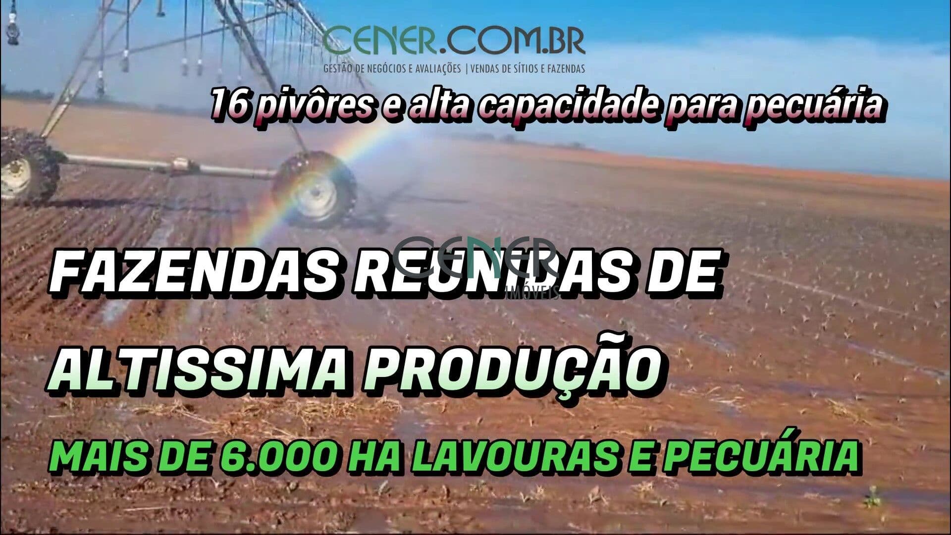 Fazendas reunidas alta produção com mais de 6 000 ha 16 pivôres por 250 milhões