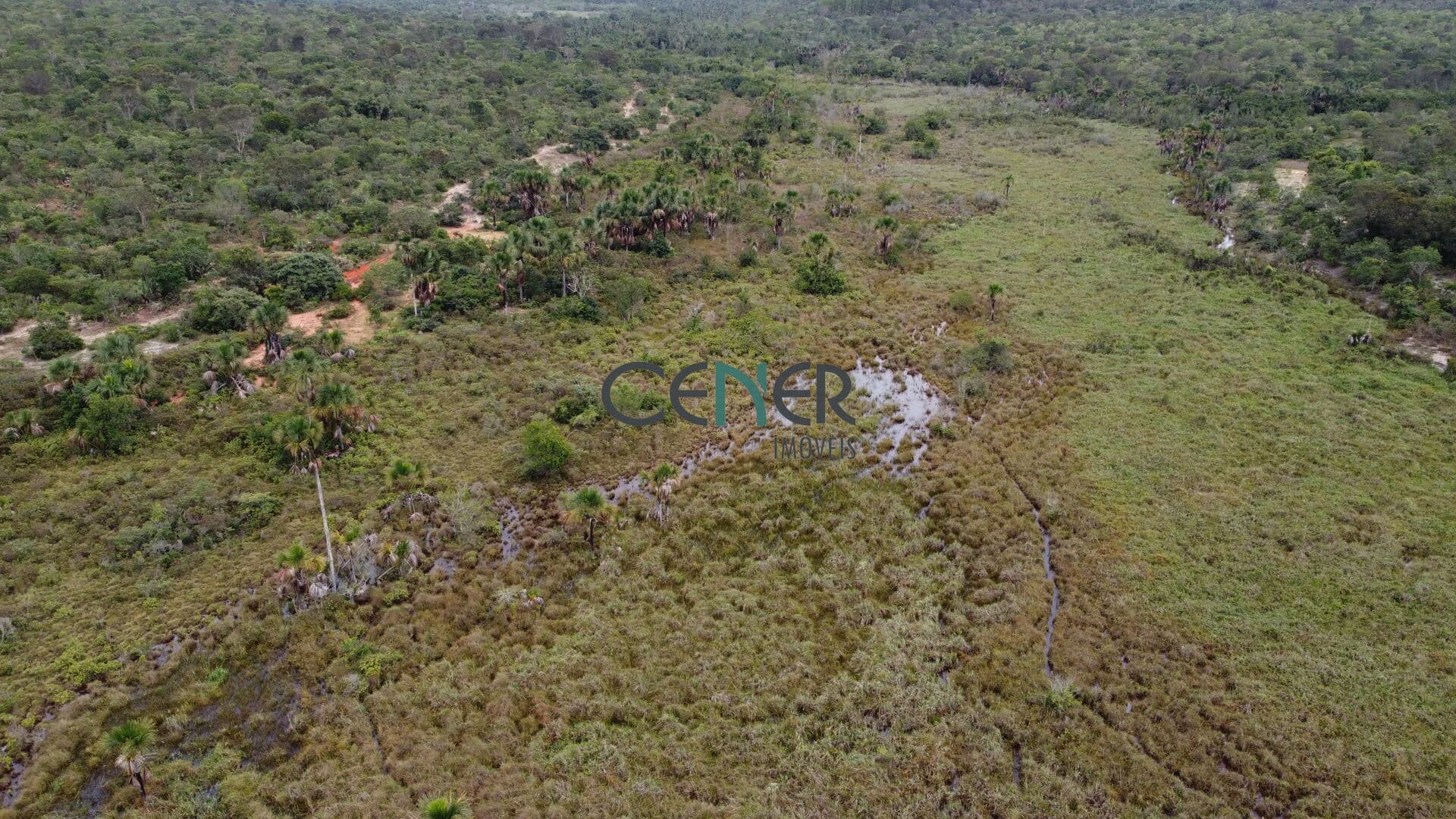 Fazenda bruta de 1000 ha para lavoura, pecuária, eucalipto
