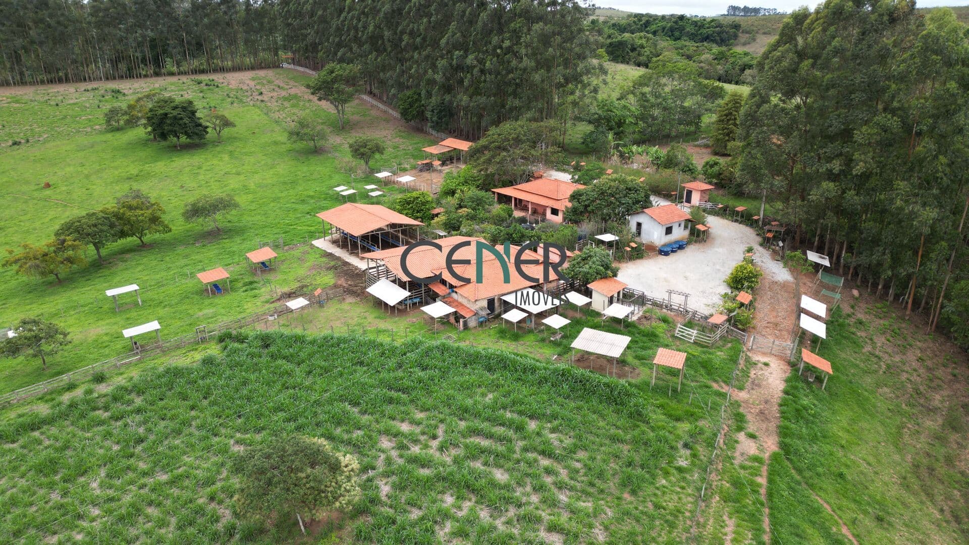 Fazendinha com estrutura de leite de 20 ha de porteira fechada em Desterro de Entre Rios