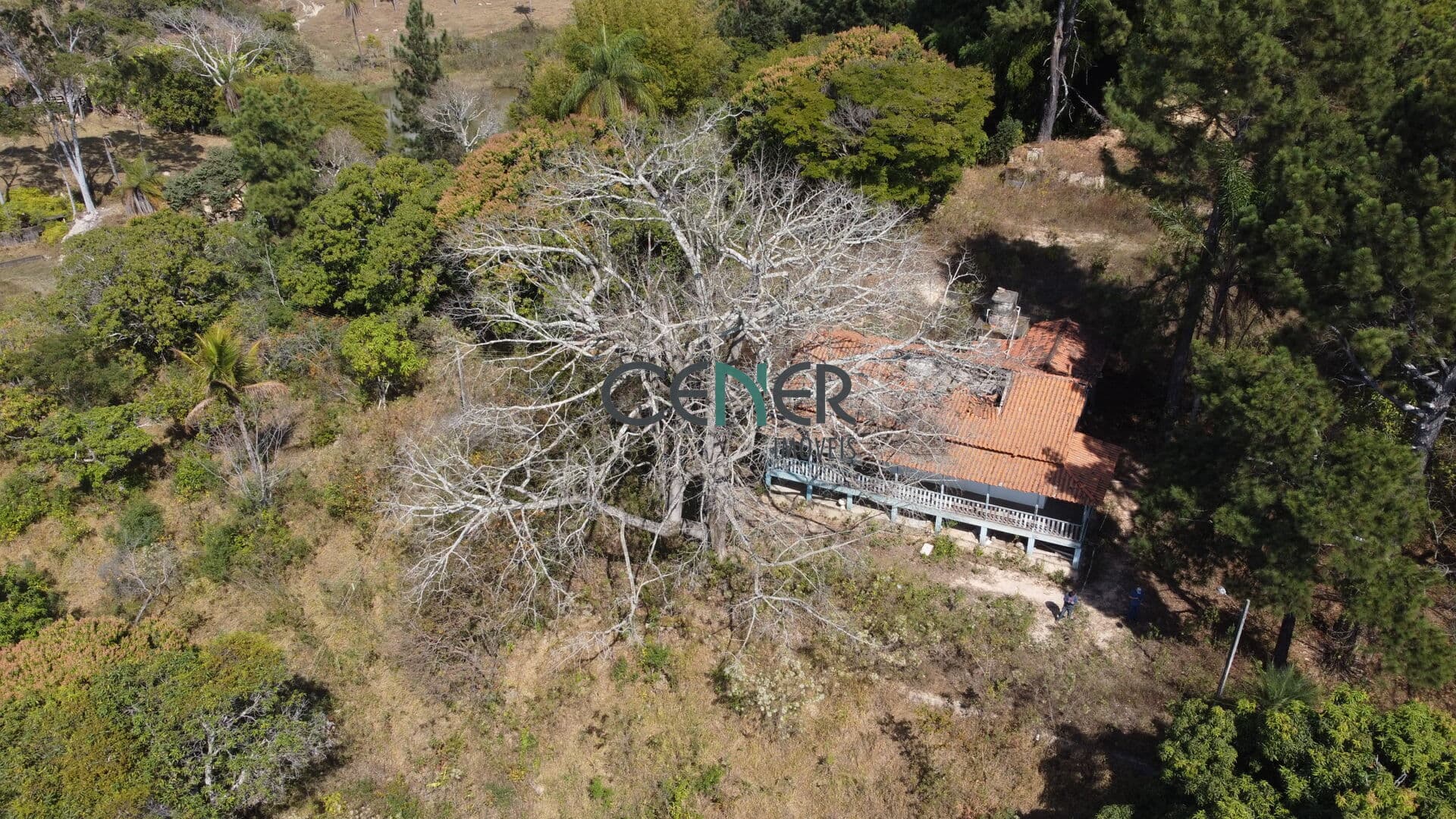 Fazenda de 210 ha a 50 km de Belo Horizonte