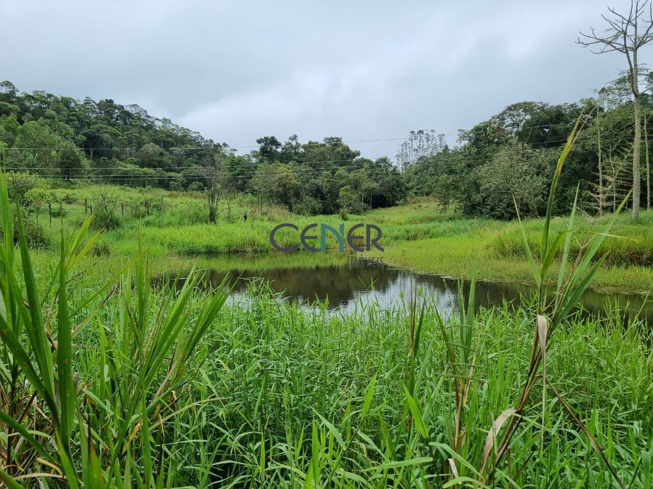 Linda fazenda recanto da Mantiqueira com 53,3 ha