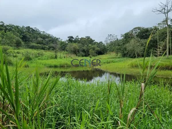 Linda fazenda recanto da Mantiqueira com 53,3 ha