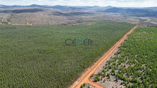 Fazenda de 1 095 ha ótima para café e lavouras