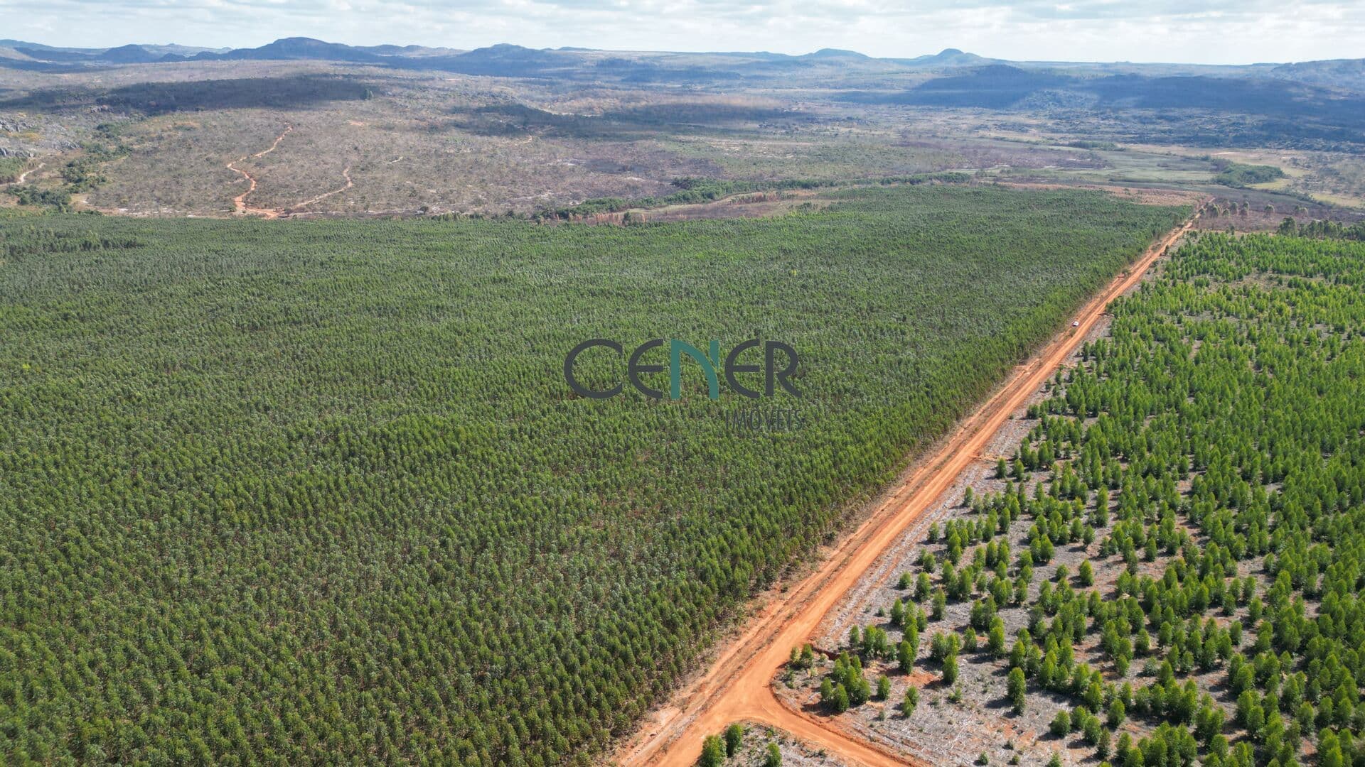 Fazenda de 1 095 ha ótima para café e lavouras