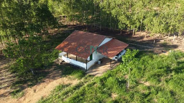 Fazendinha de 90 ha com boa estrutura em Curvelo MG
