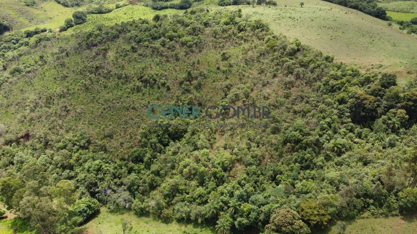 Terreno bem localizado, aproximadamente 115 km de Belo Horizonte, no município de São Brás do Suaçuí, com 12,4 ha