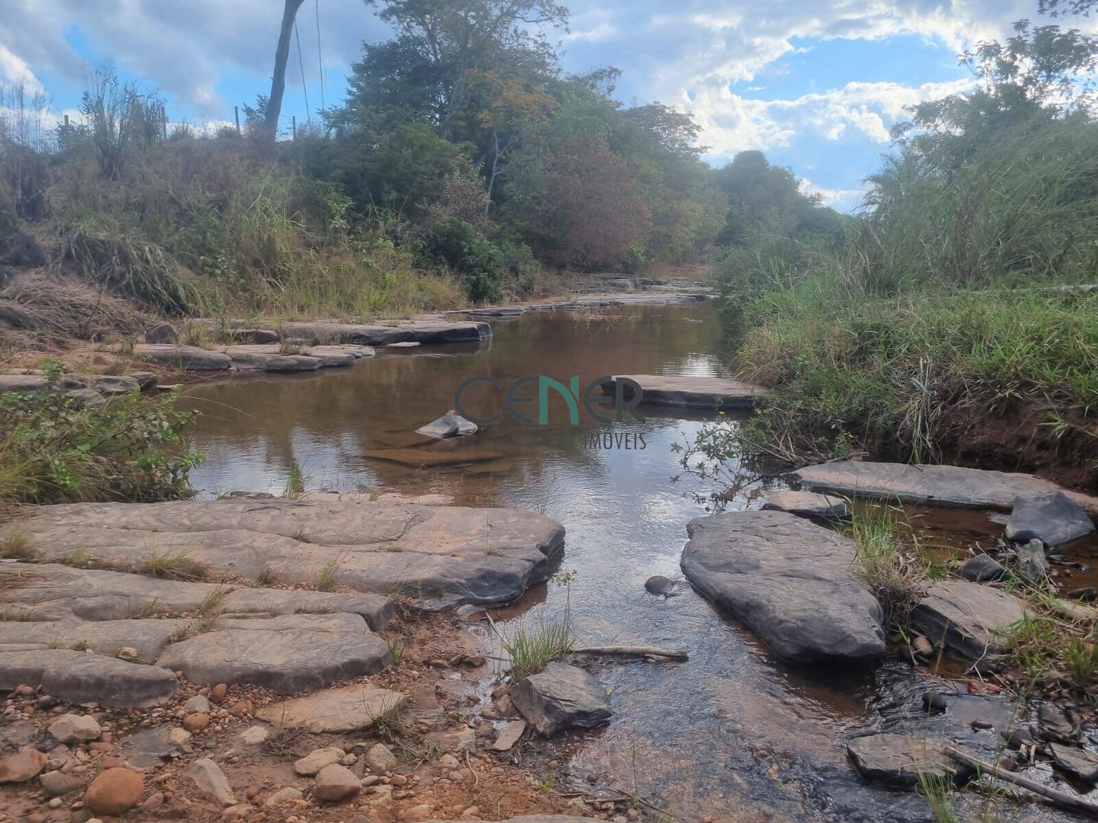 Fazenda espetacular margens do Rio São Francisco de 1 800 ha