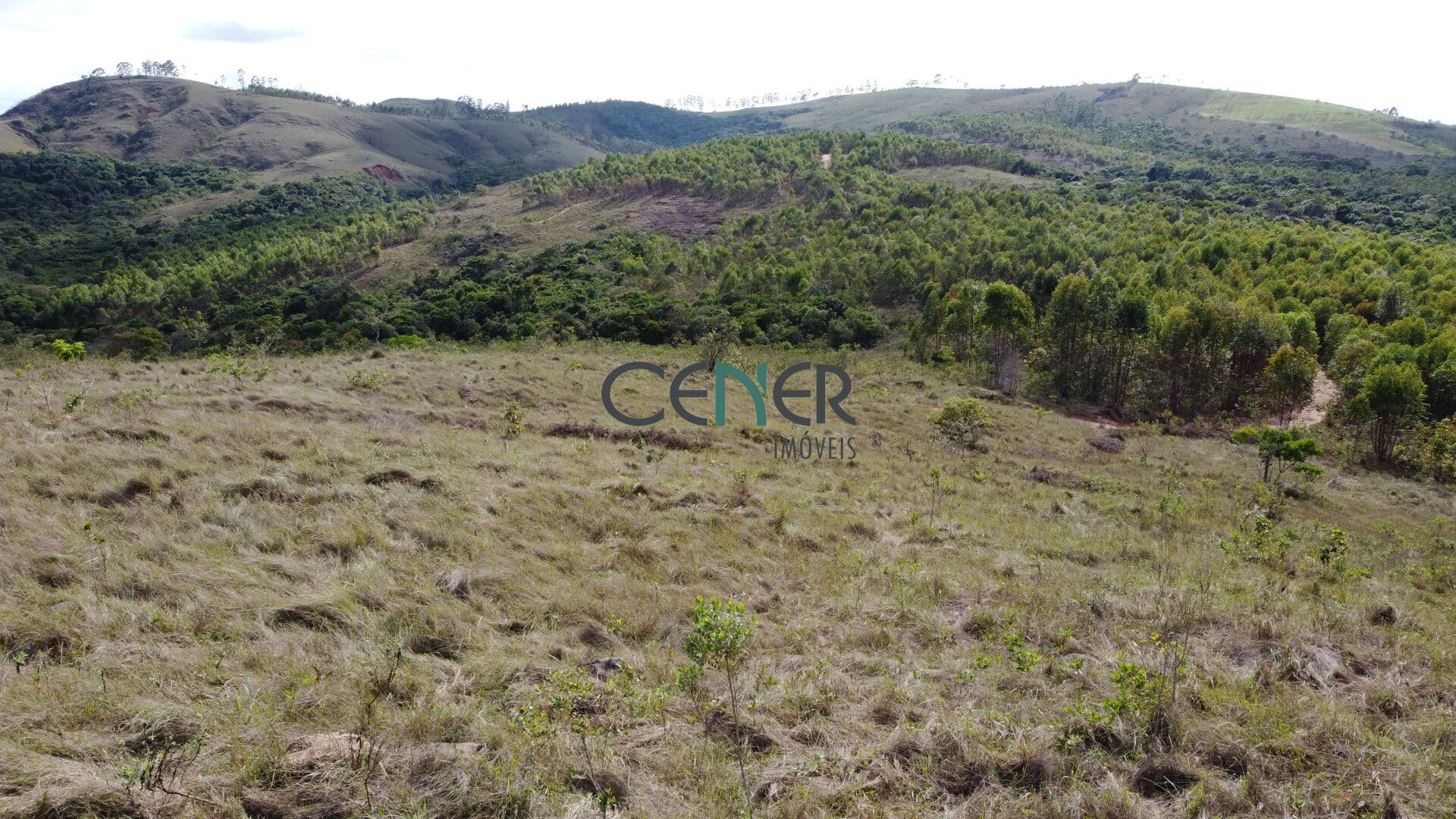 TERRENO DE 94 HA ÓTIMO PARA UMA VALORIZADA FAZENDA