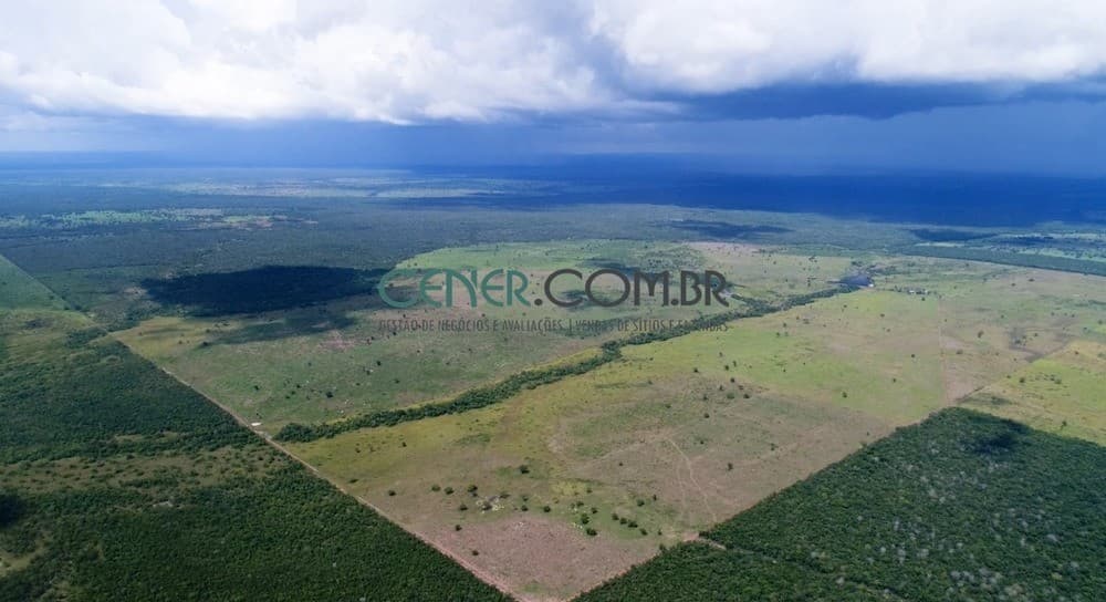 Fazenda Pronta de Dupla aptidão de 1340 ha no Tocantins e boas condições