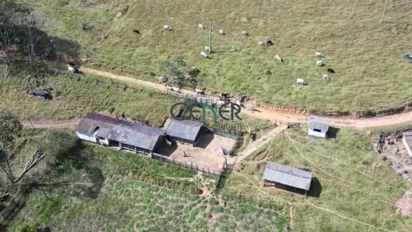 Bela fazenda de 133 ha na região de Juiz de Fora MG
