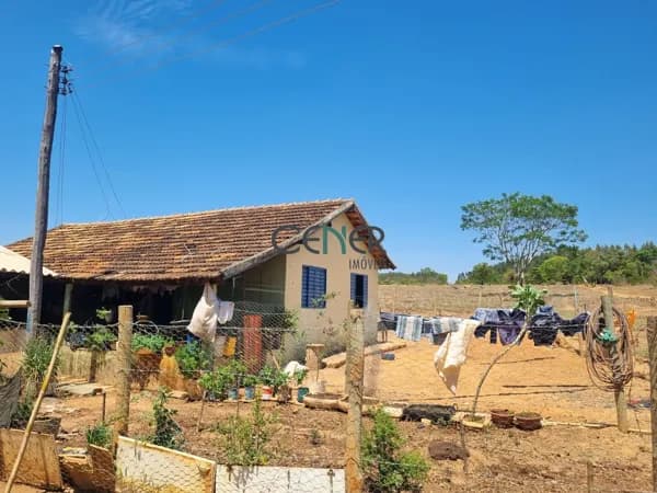 Extraordinária fazenda de 286,5 ha em Pompeu MG