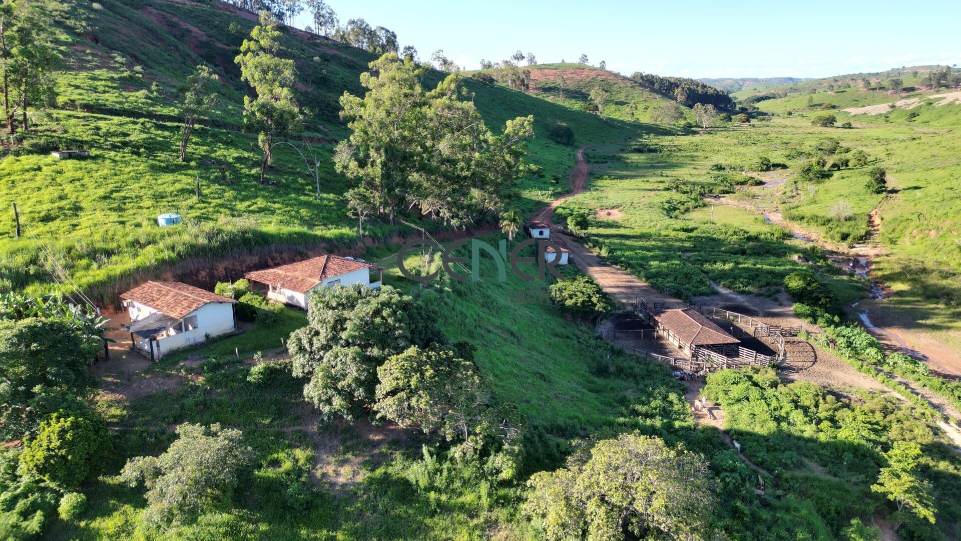 Fazenda de 690 ha pronta em Gov. Valadares MG excelente para criação e engorda de boi.